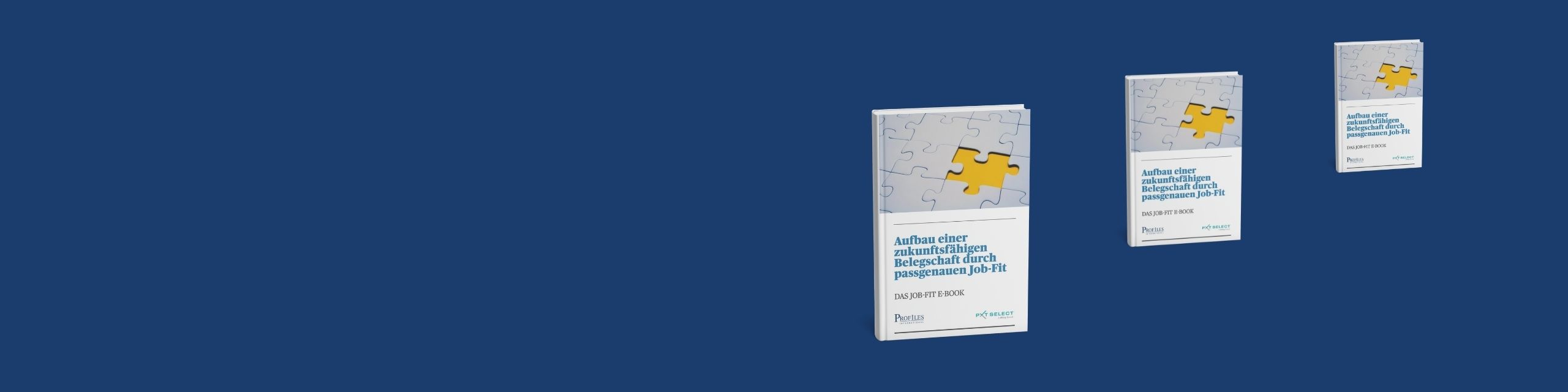 Wiley & Profiles veröffentlicht ein neues Ebook - Job-FIT: Die Macht der richtigen Person